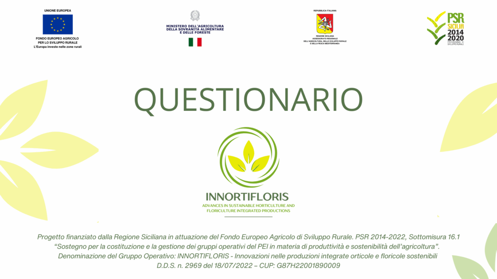 QUESTIONARIO